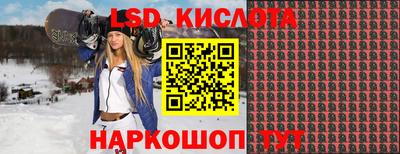 стаф Краснодар
