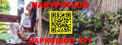 стаф Краснодар