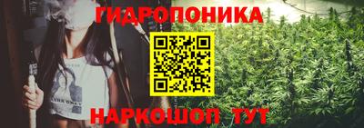 стаф Краснодар