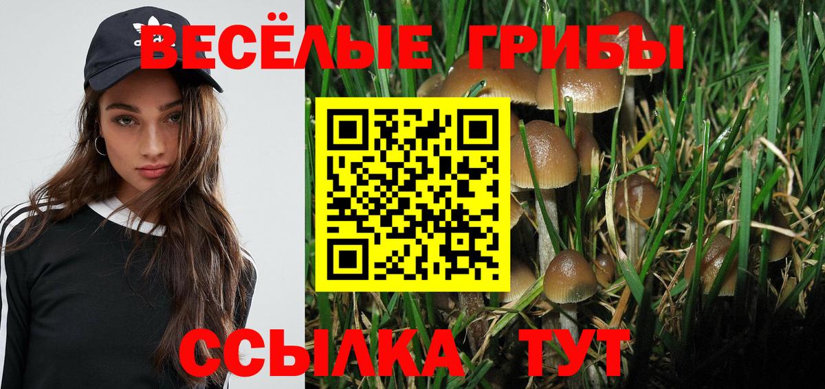 купить  цена  Вход с VPN  Кольчугино  Псилоцибиновые грибы MAGIC MUSHROOMS 